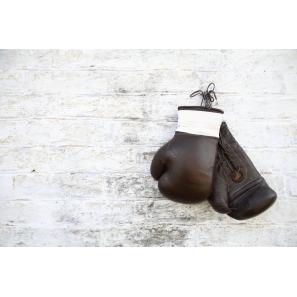 Best leather boxing gloves